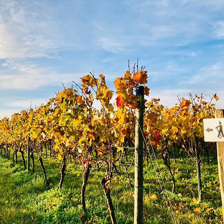 Winzerhotel Kinges-Kessel Morstadt エクステリア 写真