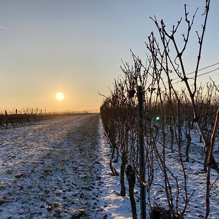 Winzerhotel Kinges-Kessel Morstadt エクステリア 写真
