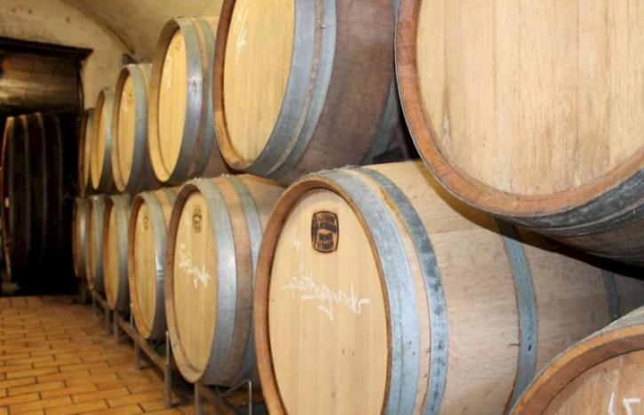 Winzerhotel Kinges-Kessel Morstadt エクステリア 写真